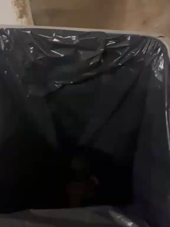 As prisões realizadas durante a Festa da Lili, no Estádio Mané Garrincha, ocorreram