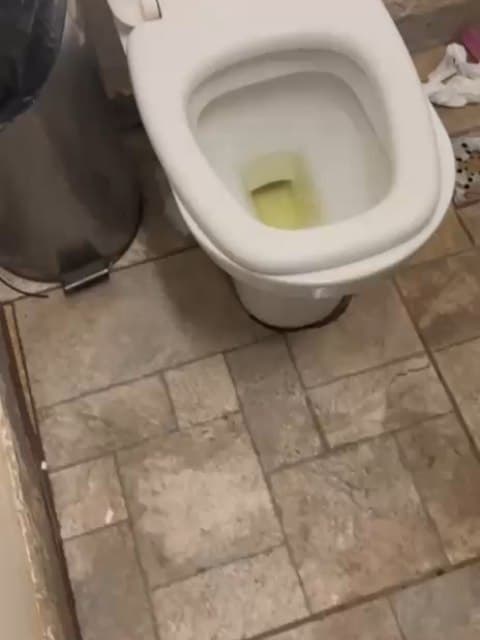 As prisões realizadas durante a Festa da Lili, no Estádio Mané Garrincha, ocorreram