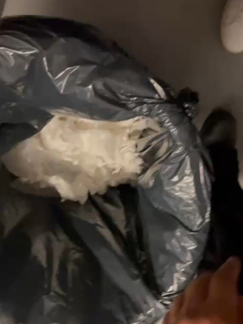 As prisões realizadas durante a Festa da Lili, no Estádio Mané Garrincha, ocorreram
